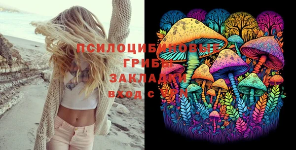 сатива Абдулино