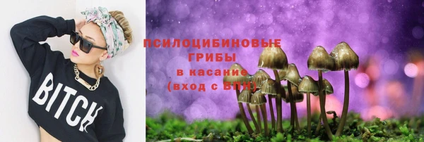 твердый Абаза