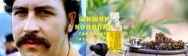 твердый Абаза