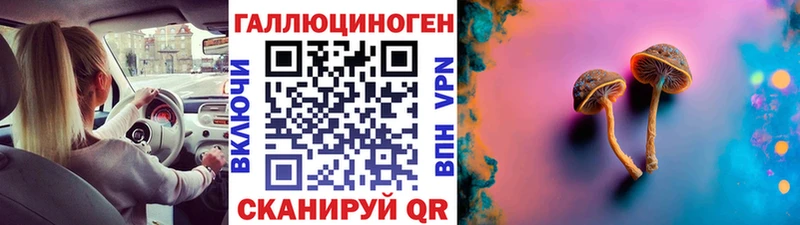 Галлюциногенные грибы Psilocybe  Тихорецк 