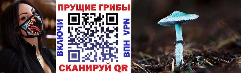 Псилоцибиновые грибы ЛСД Тихорецк